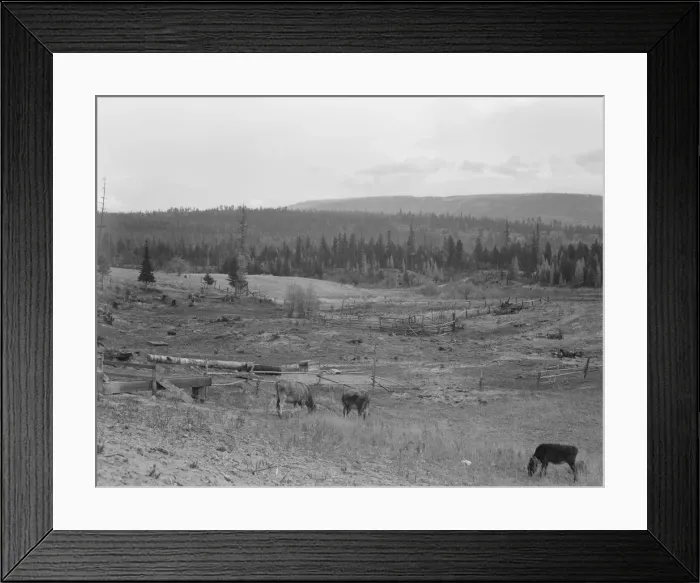Framed Print : Looking over the Unruf farm from the barn, Boundary County, Idaho, 1939. Creator: Dorothea Lange Framed Print : Looking over the Unruf farm from the barn, Boundary County, Idaho, 1939. Creator: Dorothea Lange