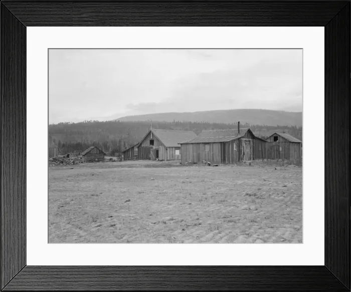 Framed Print : Partially-developed stump ranch seen across cleared grain field, Boundary County, Idaho, 1939. Creator: Dorothea Lange Framed Print : Partially-developed stump ranch seen across cleared grain field, Boundary County, Idaho, 1939. Creator: Dorothea Lange