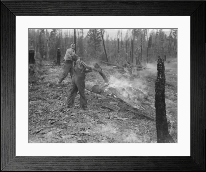 Framed Print : Family work clearing land by burning, near Bonners Ferry, Boundary County, Idaho, 1939. Creator: Dorothea Lange Framed Print : Family work clearing land by burning, near Bonners Ferry, Boundary County, Idaho, 1939. Creator: Dorothea Lange