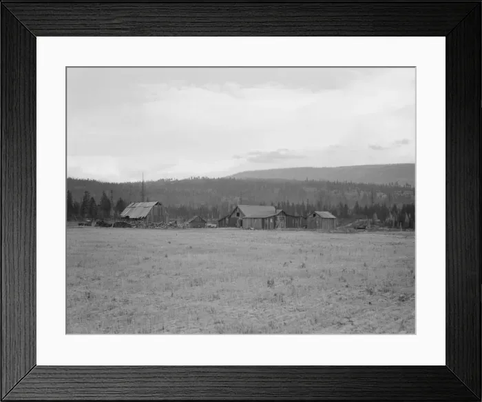 Framed Print : Partially-developed stump ranch seen across cleared grain field, Boundary County, Idaho, 1939. Creator: Dorothea Lange Framed Print : Partially-developed stump ranch seen across cleared grain field, Boundary County, Idaho, 1939. Creator: Dorothea Lange