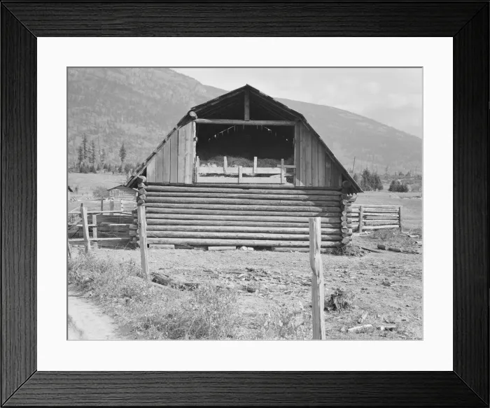 Framed Print : Log barn, FSA borrower plans to develop dairy ranch, Boundary County, Idaho, 1939. Creator: Dorothea Lange Framed Print : Log barn, FSA borrower plans to develop dairy ranch, Boundary County, Idaho, 1939. Creator: Dorothea Lange