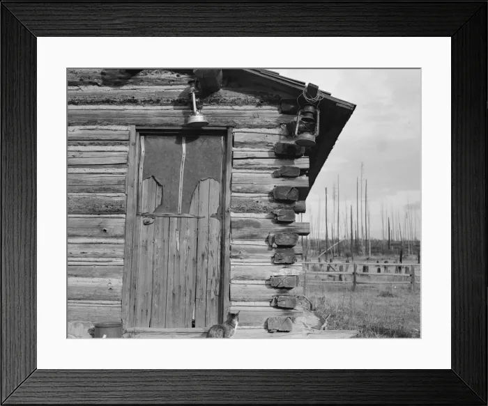 Framed Print : Log home, farm established 6 years ago, Priest River Peninsula, Bonner County, Idaho, 1939 Creator: Dorothea Lange Framed Print : Log home, farm established 6 years ago, Priest River Peninsula, Bonner County, Idaho, 1939 Creator: Dorothea Lange
