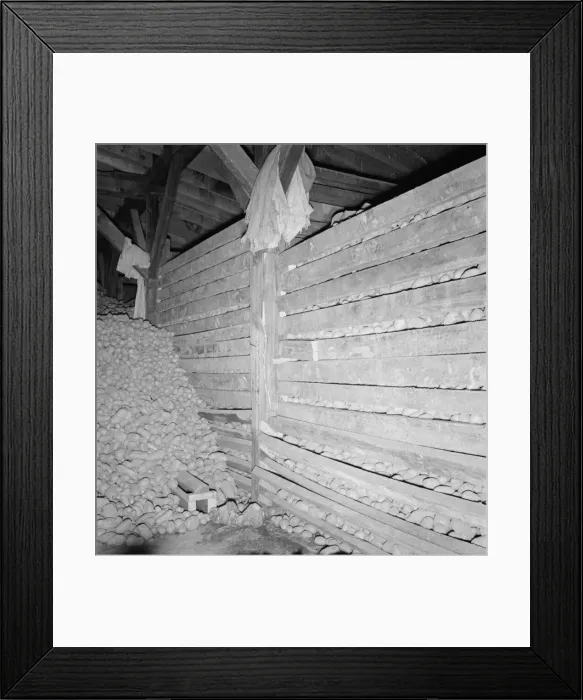 Framed Print : Potatoes in storage cellar at end of season, Merrill, Klamath County, Oregon, 1939. Creator: Dorothea Lange Framed Print : Potatoes in storage cellar at end of season, Merrill, Klamath County, Oregon, 1939. Creator: Dorothea Lange
