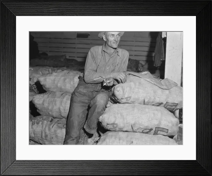 Framed Print : Klamath Basin potato farmer, Tulelake, Siskiyou County, California, 1939. Creator: Dorothea Lange Framed Print : Klamath Basin potato farmer, Tulelake, Siskiyou County, California, 1939. Creator: Dorothea Lange