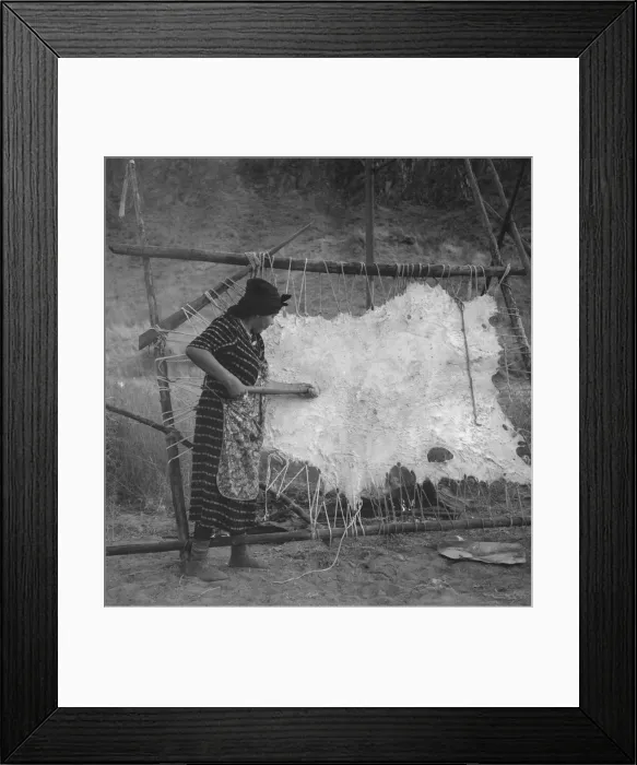 Framed Print : Method of scraping hide for softening, Indian fishing village, Oregon, 1939. Creator: Dorothea Lange Framed Print : Method of scraping hide for softening, Indian fishing village, Oregon, 1939. Creator: Dorothea Lange