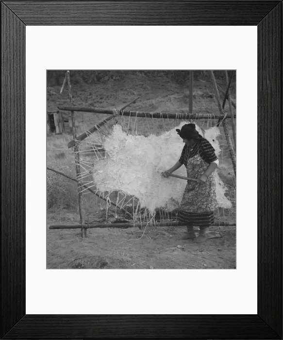 Framed Print : Method of scraping hide for softening, Indian fishing village, Oregon, 1939. Creator: Dorothea Lange