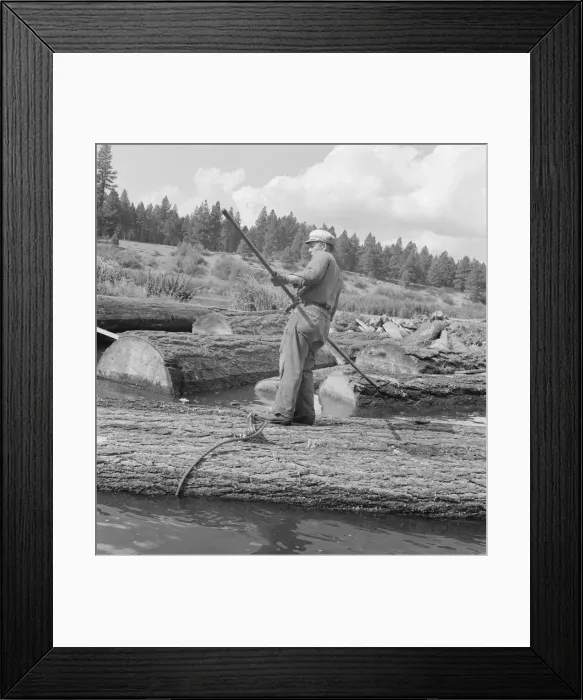 Framed Print : Pond monkey steers log raft in mill pond, Keno, Klamath County, Oregon, 1939. Creator: Dorothea Lange Framed Print : Pond monkey steers log raft in mill pond, Keno, Klamath County, Oregon, 1939. Creator: Dorothea Lange