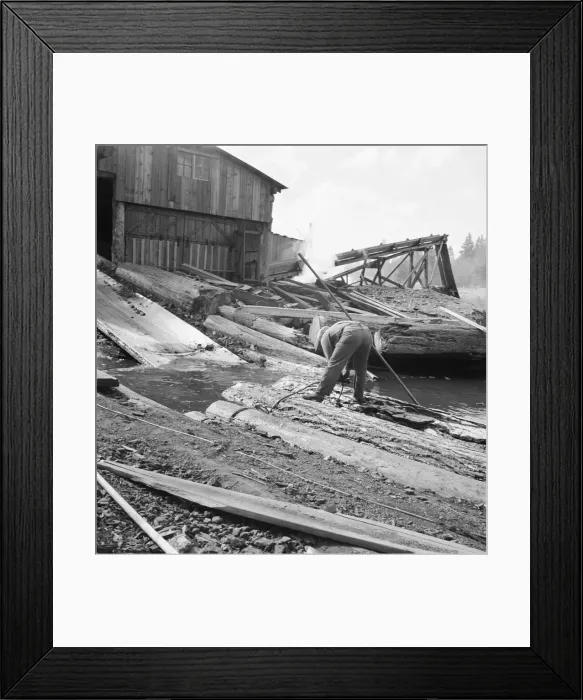 Framed Print : Pond monkey steers log raft in mill pond, Keno, Klamath County, Oregon, 1939. Creator: Dorothea Lange Framed Print : Pond monkey steers log raft in mill pond, Keno, Klamath County, Oregon, 1939. Creator: Dorothea Lange