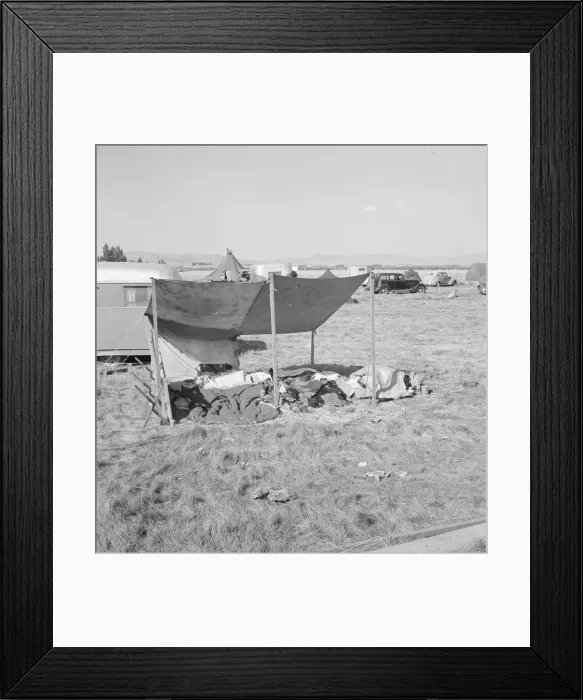 Framed Print : Living conditions for migrant potato pickers, Tulelake, Siskiyou County, California, 1939. Creator: Dorothea Lange Framed Print : Living conditions for migrant potato pickers, Tulelake, Siskiyou County, California, 1939. Creator: Dorothea Lange