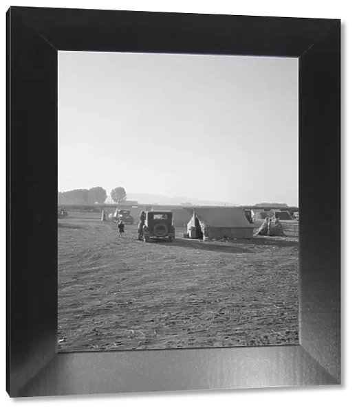 Families camped on flat before season opens... near Merrill, Klamath County, Oregon, 1939 Creator: Dorothea Lange