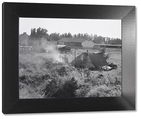 One of the forty potato camps in open field, entering town. Malin, Klamath County, Oregon, 1939. Creator: Dorothea Lange