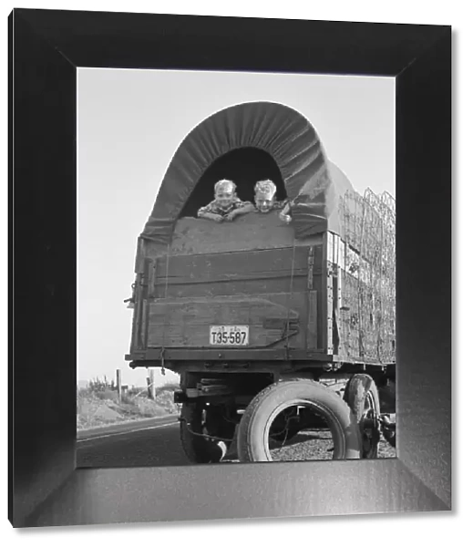 Just arrived from Kansas, on highway going to potato... near Merrill, Klamath County, Oregon, 1939. Creator: Dorothea Lange