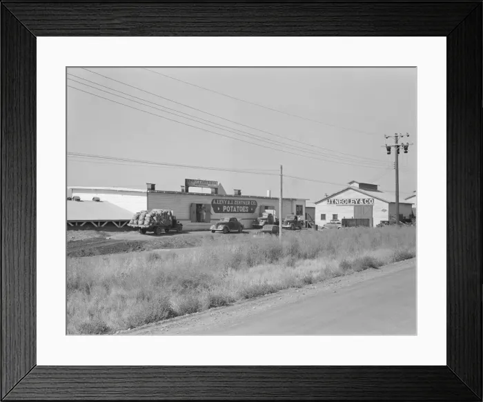 Framed Print : Potato sheds during season, across the road from the... Tulelake, Siskiyou County, California, 1939 Creator: Dorothea Lange Framed Print : Potato sheds during season, across the road from the... Tulelake, Siskiyou County, California, 1939 Creator: Dorothea Lange