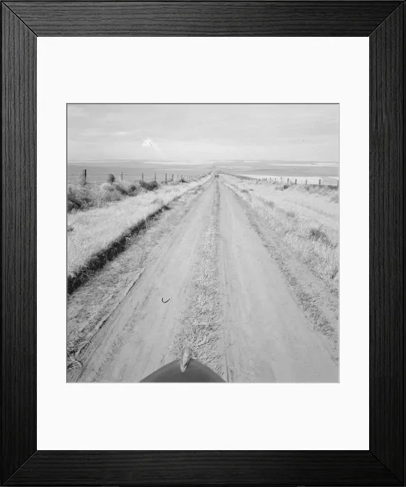 Framed Print : Western wheat country in a region which yields... Umatilla County, Oregon, 1939. Creator: Dorothea Lange Framed Print : Western wheat country in a region which yields... Umatilla County, Oregon, 1939. Creator: Dorothea Lange