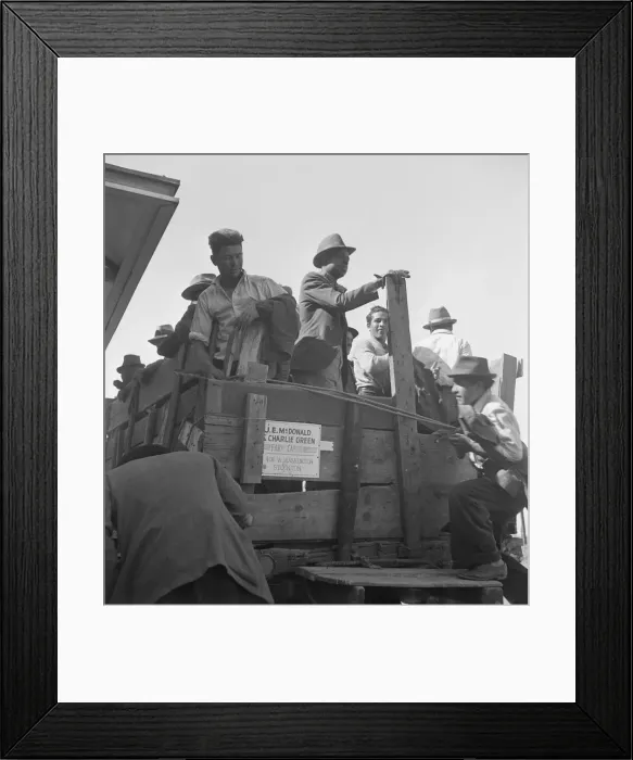 Framed Print : Gangs of single men, pea pickers, transported to fields... Stanislaus County, CA, 1939. Creator: Dorothea Lange Framed Print : Gangs of single men, pea pickers, transported to fields... Stanislaus County, CA, 1939. Creator: Dorothea Lange