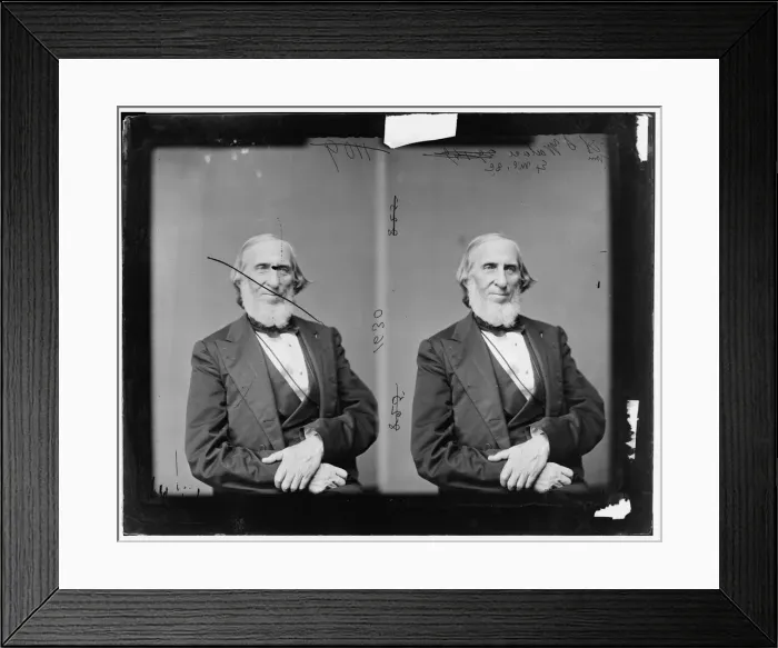 Framed Print : Alexander Stuart Wallace of South Carolina, 1865-1880. Creator: Unknown Framed Print : Alexander Stuart Wallace of South Carolina, 1865-1880. Creator: Unknown