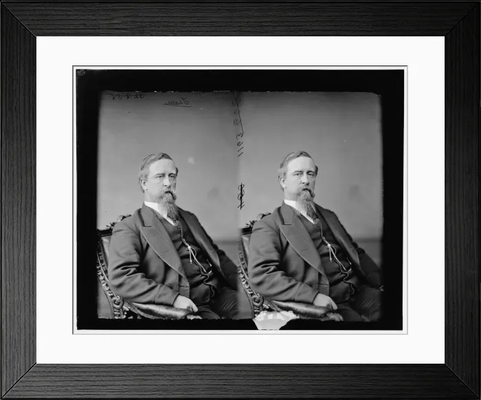 Framed Print : Swearinger, Hon. R. M. of Texas, not M. C. between 1865 and 1880. Creator: Unknown Framed Print : Swearinger, Hon. R. M. of Texas, not M. C. between 1865 and 1880. Creator: Unknown