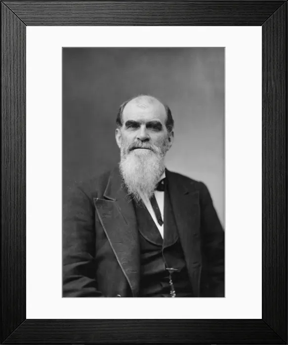 Framed Print : Sen. Richard Coke, Texas, between 1870 and 1880. Creator: Unknown Framed Print : Sen. Richard Coke, Texas, between 1870 and 1880. Creator: Unknown