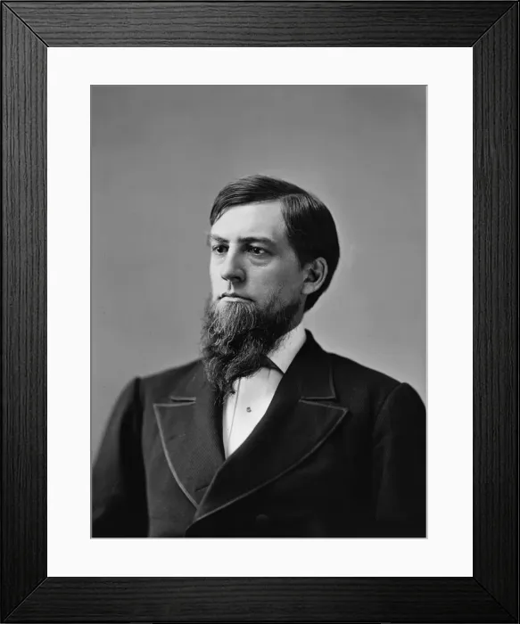 Framed Print : Sen. Eugene Hale, Maine, between 1870 and 1880. Creator: Unknown Framed Print : Sen. Eugene Hale, Maine, between 1870 and 1880. Creator: Unknown