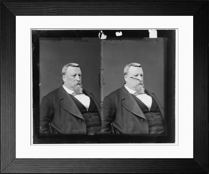 Framed Print : Gustave Schleicher of Texas, 1865-1880. Creator: Unknown Framed Print : Gustave Schleicher of Texas, 1865-1880. Creator: Unknown