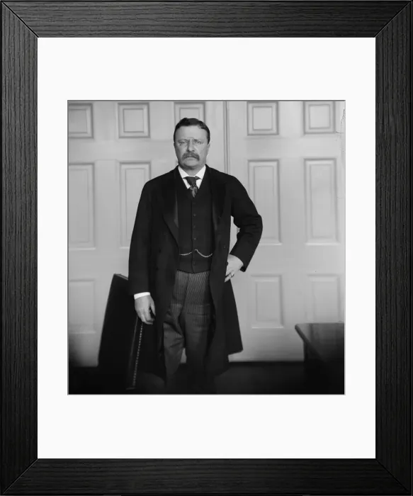Framed Print : Pres. Theo. Roosevelt, between 1890 and 1910. Creator: Unknown Framed Print : Pres. Theo. Roosevelt, between 1890 and 1910. Creator: Unknown
