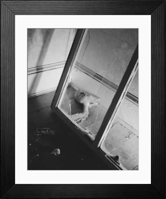 Framed Print : Dead squirrel in a wrecked home on Independence Avenue, Washington, D. C, 1942. Creator: Gordon Parks Framed Print : Dead squirrel in a wrecked home on Independence Avenue, Washington, D. C, 1942. Creator: Gordon Parks