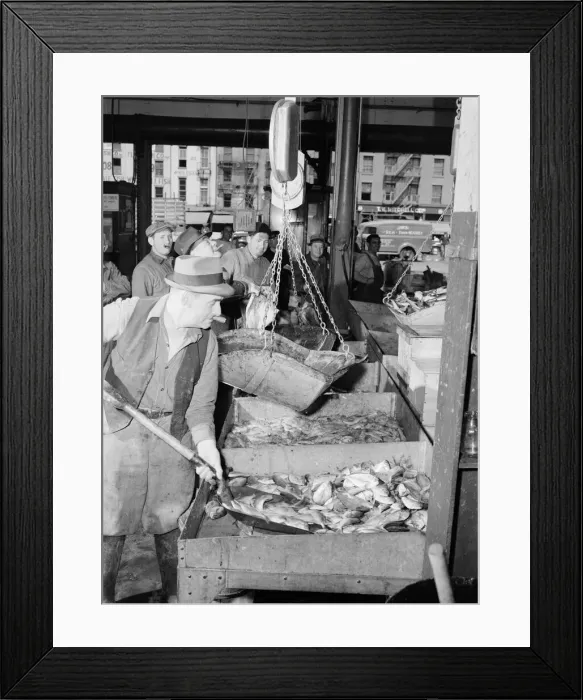 Framed Print : A hooker'shovelling redfish onto the scales in the Fulton fish market, New York, 1943. Creator: Gordon Parks Framed Print : A hooker'shovelling redfish onto the scales in the Fulton fish market, New York, 1943. Creator: Gordon Parks