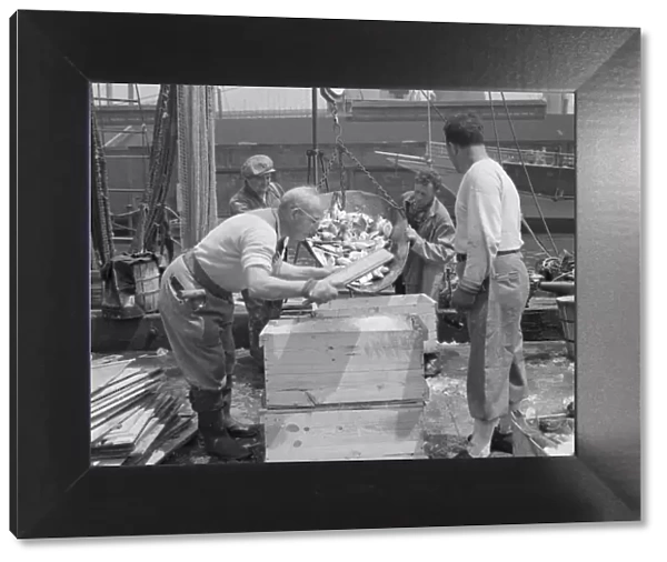 Dock stevedores packing and icing fish at the Fulton fish market, New York, 1943. Creator: Gordon Parks