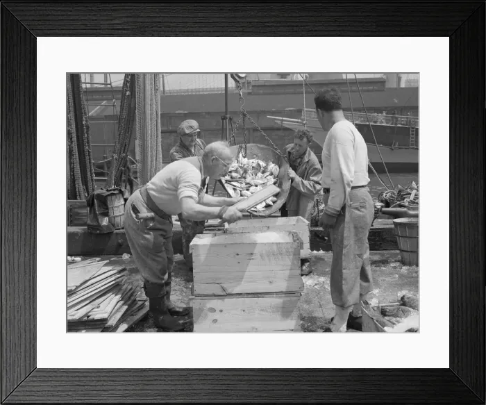 Framed Print : Dock stevedores packing and icing fish at the Fulton fish market, New York, 1943. Creator: Gordon Parks Framed Print : Dock stevedores packing and icing fish at the Fulton fish market, New York, 1943. Creator: Gordon Parks