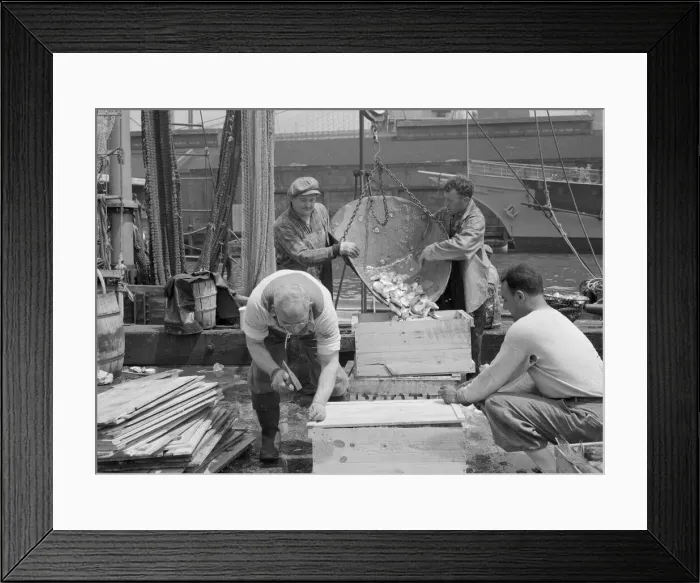 Framed Print : Dock stevedores packing and icing fish at the Fulton fish market, New York, 1943. Creator: Gordon Parks Framed Print : Dock stevedores packing and icing fish at the Fulton fish market, New York, 1943. Creator: Gordon Parks