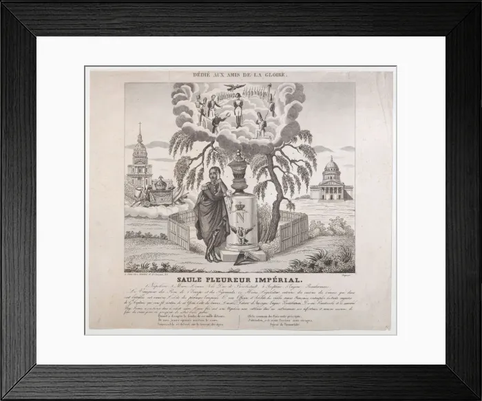 Framed Print : Saule Pleureur Imperiale with hidden silhouettes of Napoleon and his family, 1830-50. 1830-50. Creator: Anon Framed Print : Saule Pleureur Imperiale with hidden silhouettes of Napoleon and his family, 1830-50. 1830-50. Creator: Anon