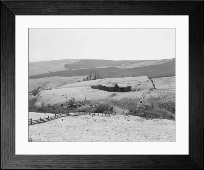 Framed Print : Possibly: Desert stock farm, south central Washington, in region... land has been overgrazed, 1939. Creator: Dorothea Lange Framed Print : Possibly: Desert stock farm, south central Washington, in region... land has been overgrazed, 1939. Creator: Dorothea Lange