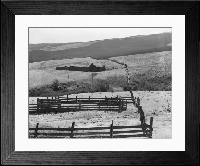 Framed Print : Desert stock farm, south central Washington, in region where much land has been overgrazed, 1939. Creator: Dorothea Lange Framed Print : Desert stock farm, south central Washington, in region where much land has been overgrazed, 1939. Creator: Dorothea Lange