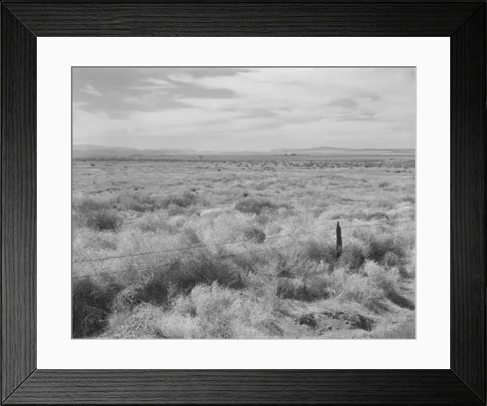 Framed Print : Abandoned farmland in the Columbia Basin, north of Quincy, Grant County, Washington, 1939. Creator: Dorothea Lange Framed Print : Abandoned farmland in the Columbia Basin, north of Quincy, Grant County, Washington, 1939. Creator: Dorothea Lange