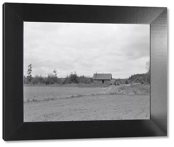 The Arnold farm, seen from road, Michigan Hill, Thurston County, Western Washington, 1939. Creator: Dorothea Lange