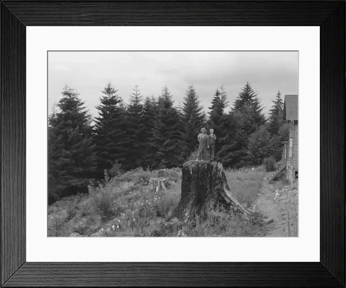 Framed Print : Possibly: Shows charater of the land... Elma, Grays Harbor County, Western Wasington, 1939. Creator: Dorothea Lange Framed Print : Possibly: Shows charater of the land... Elma, Grays Harbor County, Western Wasington, 1939. Creator: Dorothea Lange