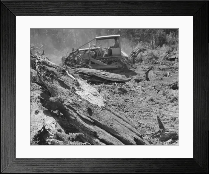 Framed Print : Possibly: Bulldozer equipped with grader... near Vader, Lewis County, Western Washington, 1939. Creator: Dorothea Lange Framed Print : Possibly: Bulldozer equipped with grader... near Vader, Lewis County, Western Washington, 1939. Creator: Dorothea Lange