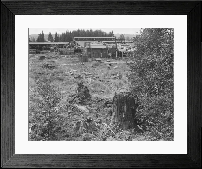 Framed Print : Possibly: Mumby Lumber Mill, closed in 1938... Malone, Grays Harbor County, Washington, 1939. Creator: Dorothea Lange Framed Print : Possibly: Mumby Lumber Mill, closed in 1938... Malone, Grays Harbor County, Washington, 1939. Creator: Dorothea Lange
