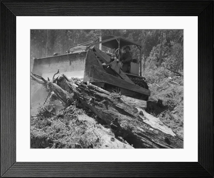 Framed Print : Catskinner and bulldozer, near Vader, Lewis County, Western Washington, 1939. Creator: Dorothea Lange Framed Print : Catskinner and bulldozer, near Vader, Lewis County, Western Washington, 1939. Creator: Dorothea Lange