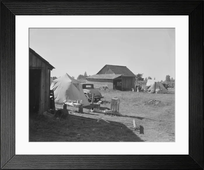 Framed Print : Bean pickers camp in growers yard - no running... near West Stayton, Marion County, Oregon, 1939. Creator: Dorothea Lange Framed Print : Bean pickers camp in growers yard - no running... near West Stayton, Marion County, Oregon, 1939. Creator: Dorothea Lange
