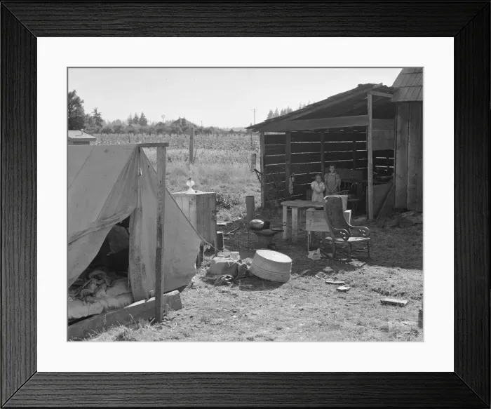 Framed Print : Possibly: Bean pickers camp in growers yard... near West Stayton, Marion County, Oregon, 1939. Creator: Dorothea Lange Framed Print : Possibly: Bean pickers camp in growers yard... near West Stayton, Marion County, Oregon, 1939. Creator: Dorothea Lange