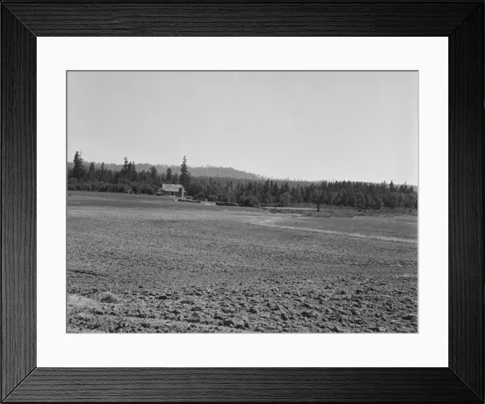 Framed Print : The Nieman farm showing cleared land on... near Vader, Lewis County, Western Washington, 1939. Creator: Dorothea Lange Framed Print : The Nieman farm showing cleared land on... near Vader, Lewis County, Western Washington, 1939. Creator: Dorothea Lange