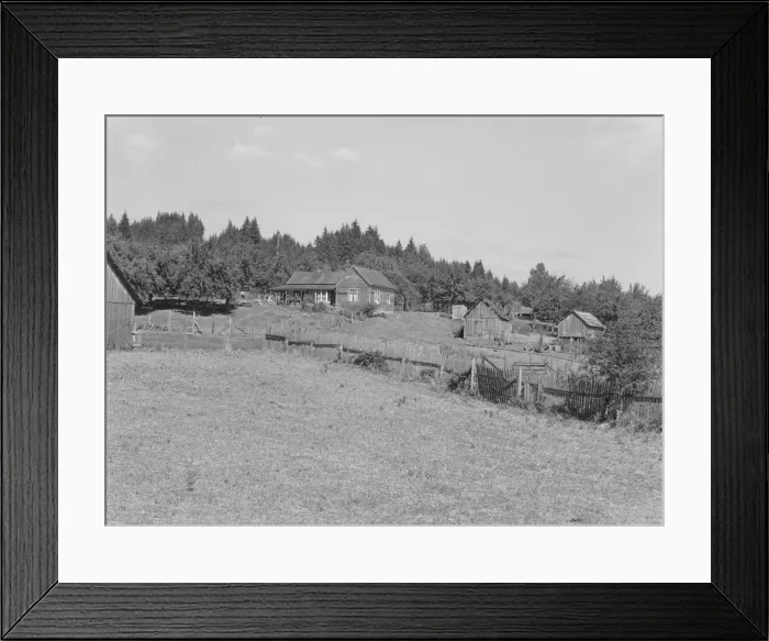 Framed Print : Possibly: Western Washington subsistence farm, whittled out of the stumps, Grays Harbor County, 1939 Creator: Dorothea Lange Framed Print : Possibly: Western Washington subsistence farm, whittled out of the stumps, Grays Harbor County, 1939 Creator: Dorothea Lange