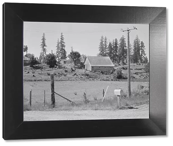 Stump farm, typical of cut-over area of Western Washington, near Vader, Lewis County, 1939. Creator: Dorothea Lange