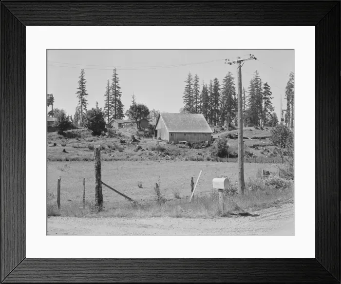 Framed Print : Stump farm, typical of cut-over area of Western Washington, near Vader, Lewis County, 1939. Creator: Dorothea Lange Framed Print : Stump farm, typical of cut-over area of Western Washington, near Vader, Lewis County, 1939. Creator: Dorothea Lange