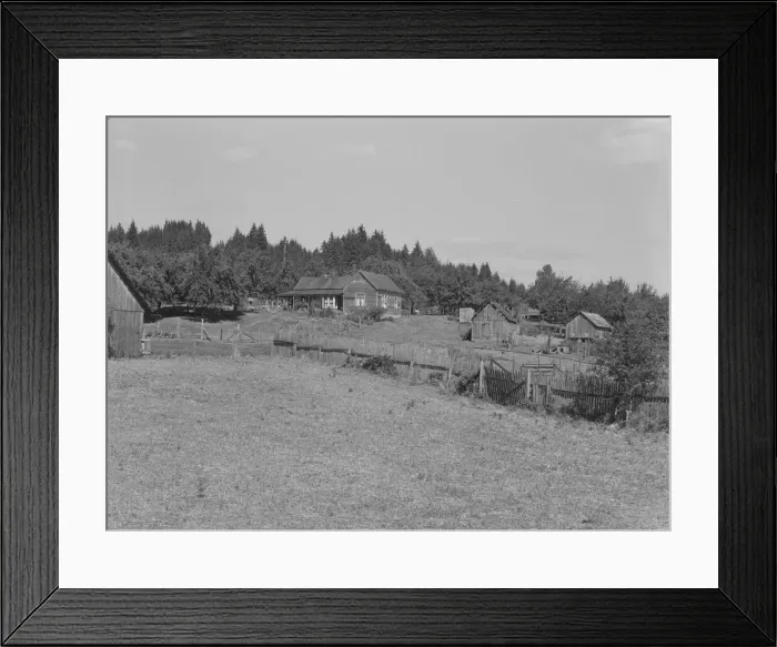 Framed Print : Western Washington subsistence farm, whittled out of the... Grays Harbor County, Washington, 1939. Creator: Dorothea Lange Framed Print : Western Washington subsistence farm, whittled out of the... Grays Harbor County, Washington, 1939. Creator: Dorothea Lange