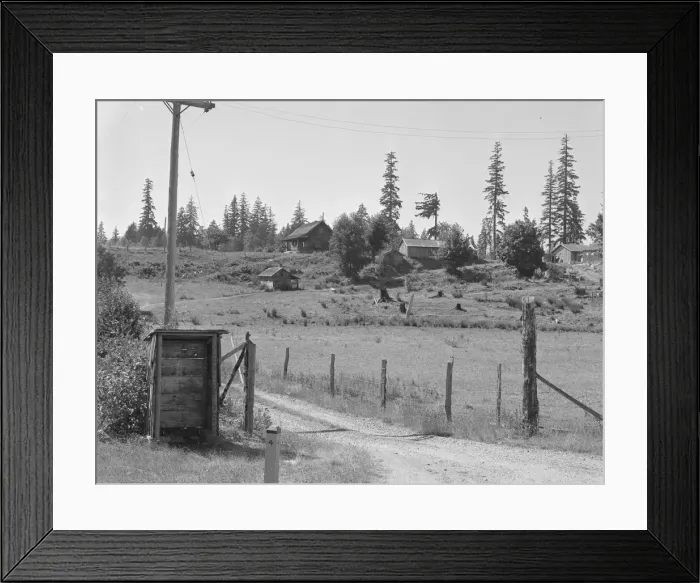 Framed Print : Western Washington stump farm, near Vader, Lewis County, Washington, 1939. Creator: Dorothea Lange