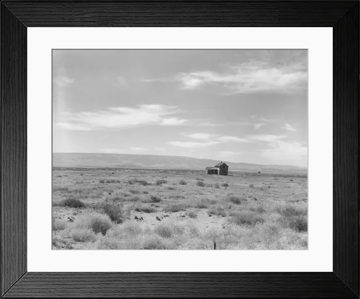 Framed Print : Abandoned dry land farm in the Columbia Basin, South of Quincy, Grant County, Washington, 1939. Creator: Dorothea Lange Framed Print : Abandoned dry land farm in the Columbia Basin, South of Quincy, Grant County, Washington, 1939. Creator: Dorothea Lange