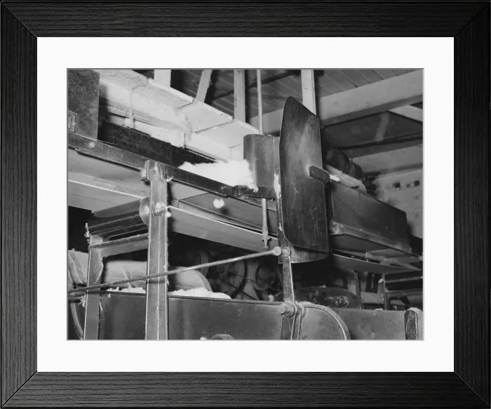 Framed Print : Cotton from the bale is transported by belt... for making bats, Laurel, Mississippi, 1939. Creator: Dorothea Lange Framed Print : Cotton from the bale is transported by belt... for making bats, Laurel, Mississippi, 1939. Creator: Dorothea Lange