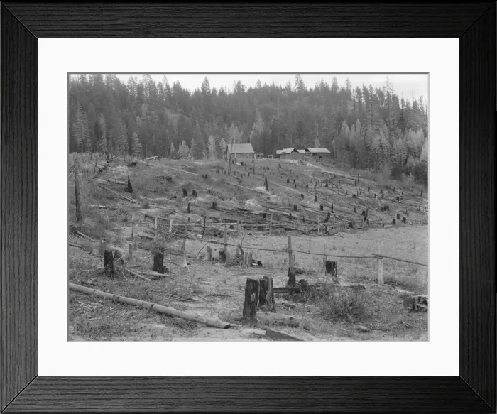 Framed Print : New settlers shack at foot of hills on poor sandy soil, Boundary County, Idaho, 1939. Creator: Dorothea Lange Framed Print : New settlers shack at foot of hills on poor sandy soil, Boundary County, Idaho, 1939. Creator: Dorothea Lange